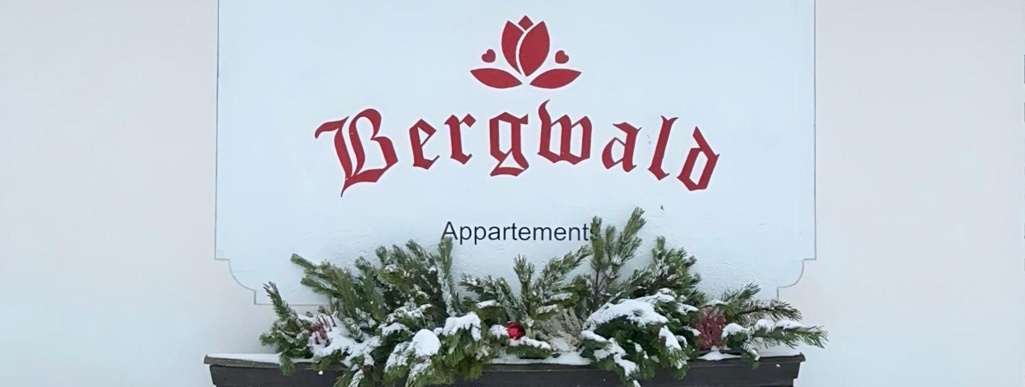 Bergwald Apartment Alpbach Ngoại thất bức ảnh